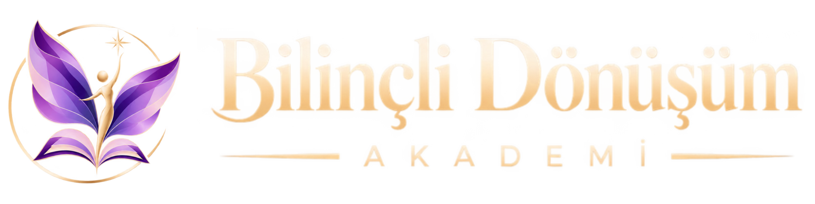 Bilinçli Dönüşüm Akademi