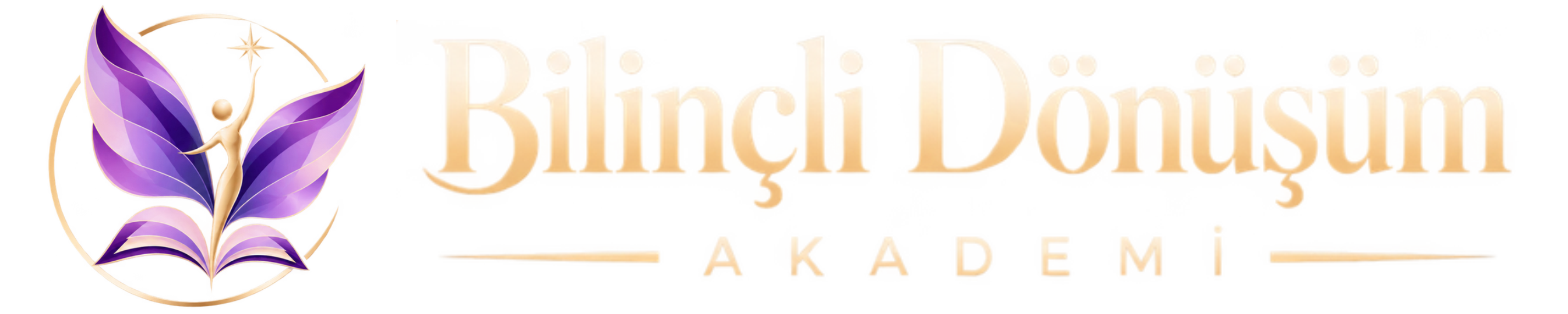 Bilinçli Dönüşüm Akademi